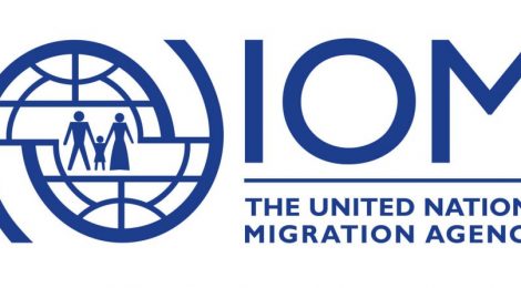 Lunchlezing "De Internationale Organisatie voor Migratie en de EU" (08/05)