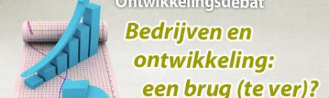 Ontwikkelingsdebat 16/01: Bedrijven en ontwikkeling: een brug (te ver)?